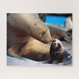 Família Sea Lion, Jigsee Quebra-cabeça