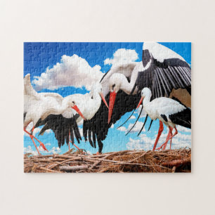 Família Stork, Quebra-cabeça de Jigsaw