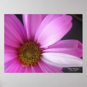 Fantasia Rosa - Poster