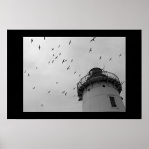 Farol de Cleveland e impressão do bw das gaivota
