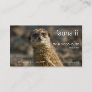 Fauna - cartão de visita de Meerkat