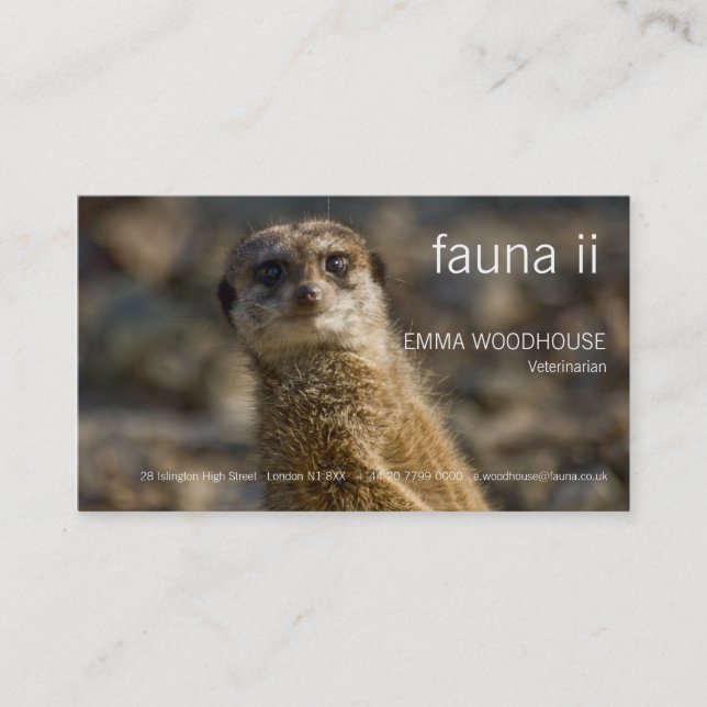 Fauna - cartão de visita de Meerkat (Frente)