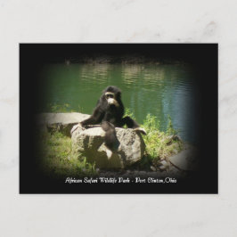 Fauna da Savana Africana Ohio Cartão Postal