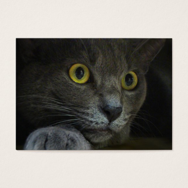 Favoritos de Intensidade (Frente)