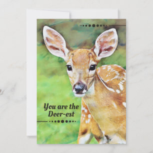 Fawn Baby Dear Querido Pun