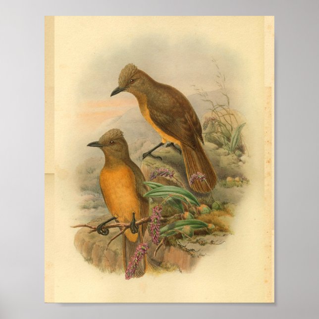 Fawn Brewn Madeira Camada Amarela Impressão (Frente)