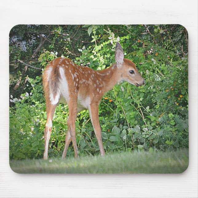 Fawn Mousepad (Frente)