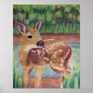 Fawn Poster
