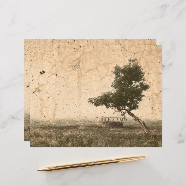 Fazenda Antiquada da Árvore Rustic Beige do País V (Frente/Verso In Situ)