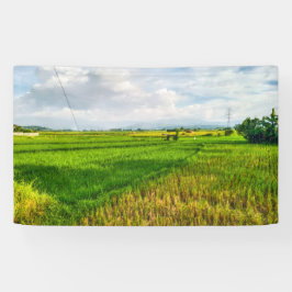 Fazenda de Campo de Arroz Verde Vinil