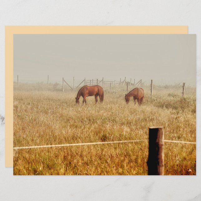 Fazenda de Cavalos - Desnute Russo Castanho (Frente/Verso)
