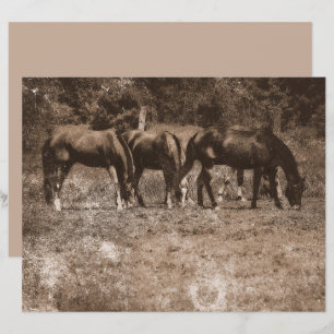 Fazenda de cavalos Vintage País Russo Sepia Ociden