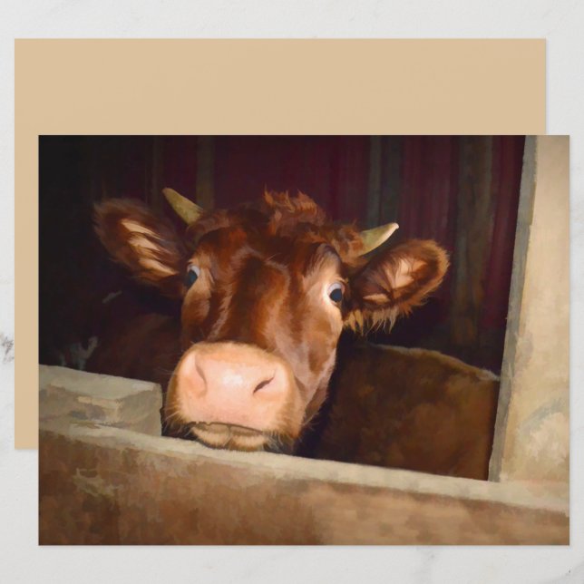 Fazenda Rústica do Carão Castanho Engraçado (Frente/Verso)