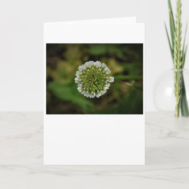 Fechar, cartão (Frente)