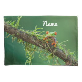 Fechar um Sapo de árvore de olhos vermelhos