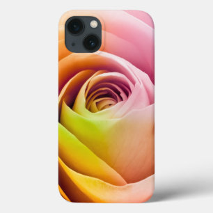 Feche acima das pétalas cor-de-rosa coloridas