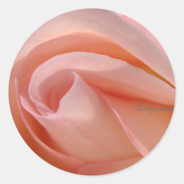 Feche o adesivo de envelopes rosa rosa rosa rosa (Frente)