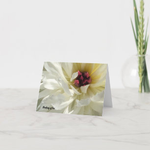 Feche o Cartão de condolências da Flor Branca de