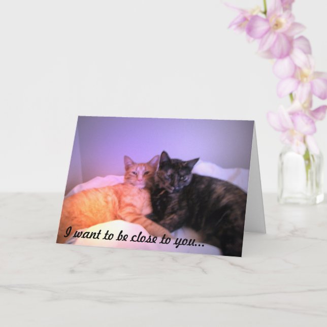 Feche o Cartão de Saudação (Orquídea)