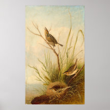 Fecho De Altura Nítida, Joseph B. Kidd Poster De A