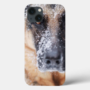Fecho Do German shepherd Coberto Na Neve