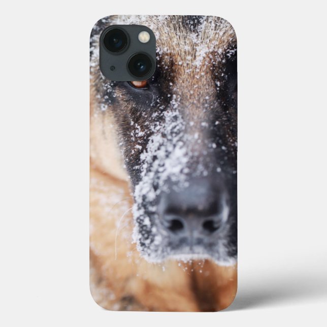 Fecho Do German shepherd Coberto Na Neve (Verso)