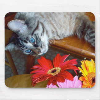 Felicidade Mousepad da flor do gato de Louie