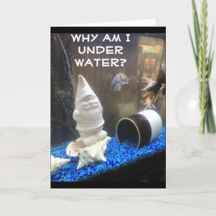 FELIZ *50º ANIVERSÁRIO DO CARTÃO DE NOME HUMOROSO