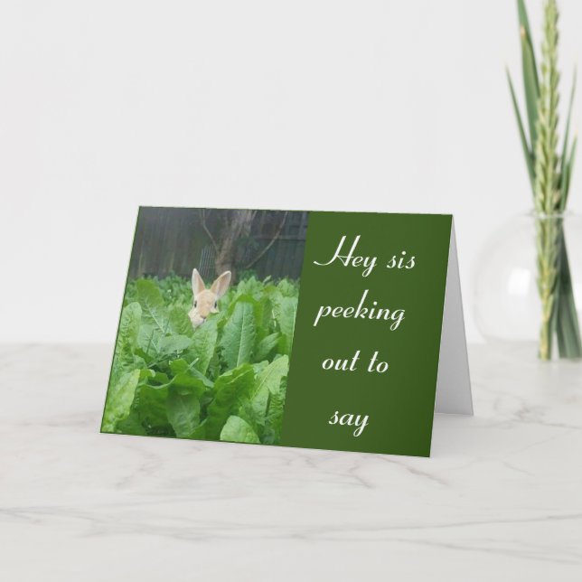 FELIZ **60º** ANIVERSÁRIO ***IRMÃ** CARTÃO (Frente)