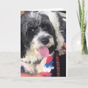 **FELIZ 8º ANIVERSÁRIO** Cartão