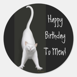 Feliz aniversario a mew etiqueta do gato
