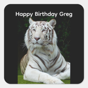 Feliz Aniversário Adesivo Quadrado Tigre Branco