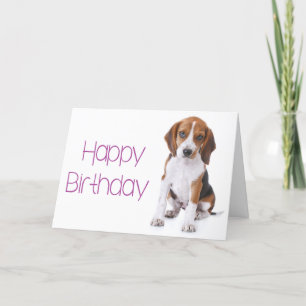 Feliz Aniversário Beagle Puppy Dog Cartão Saudação