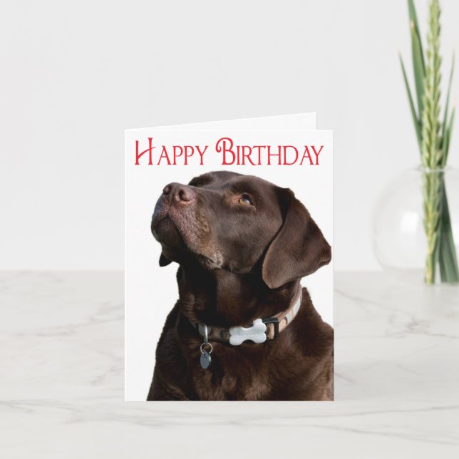 Feliz Aniversário Brown Labrador - Cartão de Cacho (Frente)