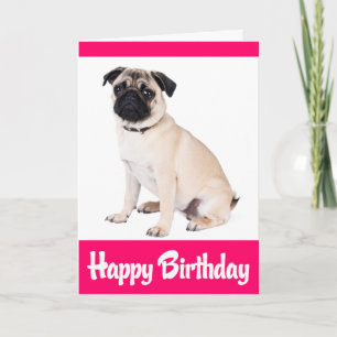 Feliz Aniversário Cachorrinho Pug Cartão de Boas-v