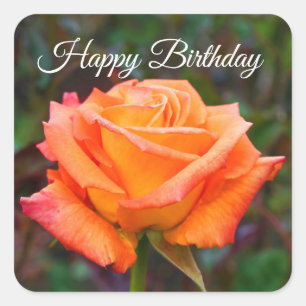 Feliz aniversário Caribe Rosa nº 2 Adesivos