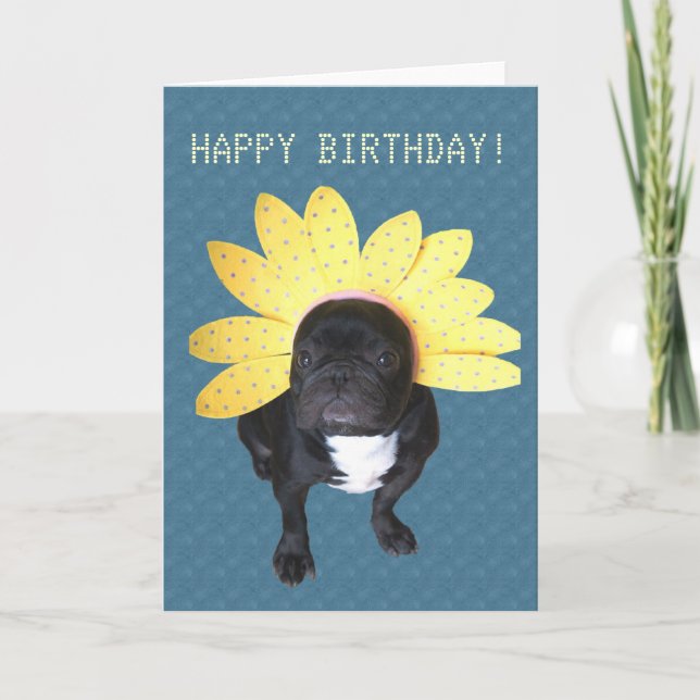 Feliz Aniversário - Cartão de Flor Francês Bulldog (Frente)