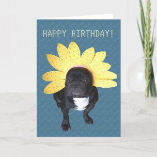 Feliz Aniversário - Cartão de Flor Francês Bulldog