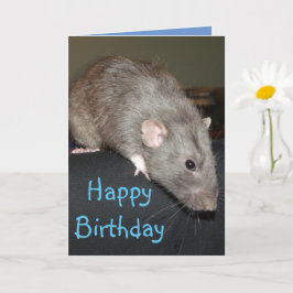 Feliz aniversário! Cartão de rato azul