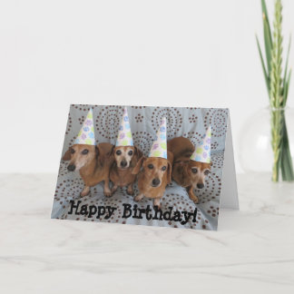 Feliz Aniversário - Cartão de Saudação Dachshund