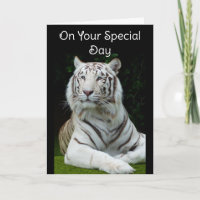 Feliz Aniversário - Cartão de Saudação de Tigre Br