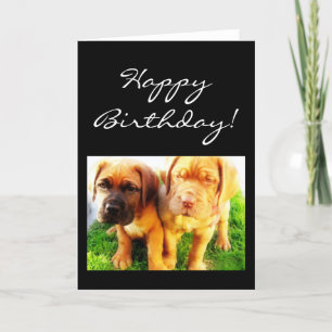 Feliz Aniversário - Cartão de Vestígio Dogue de Bo
