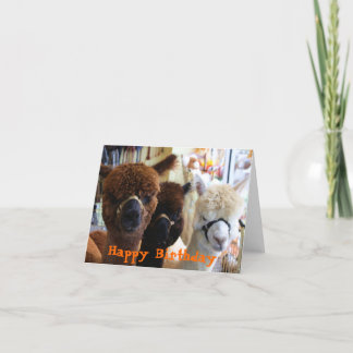 Feliz Aniversário - Cartão Llama