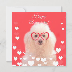 Feliz Aniversário Cartão plano de cachorro Poodle