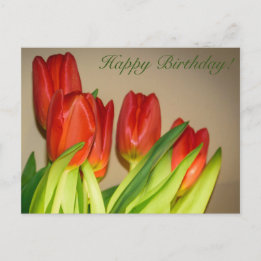 Feliz Aniversário! Cartão Postal de Tulipas