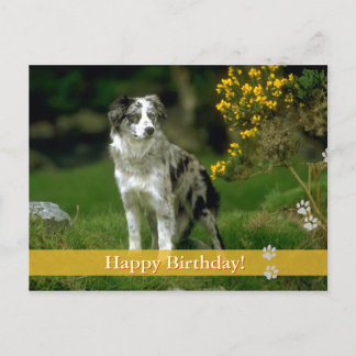 Feliz aniversário! - cartão postal do cão