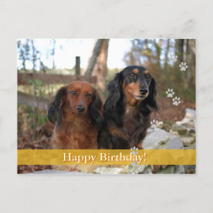 Feliz aniversário! - cartão postal do cão