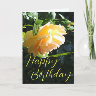 Feliz Aniversário - Cartão Rosa Amarelo