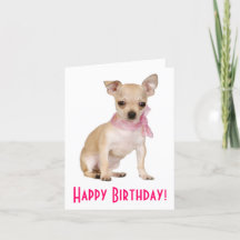 Feliz Aniversário Chihuahua Puppy Dog Cartão Sauda