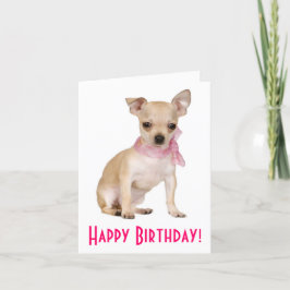 Feliz Aniversário Chihuahua Puppy Dog Cartão Sauda
